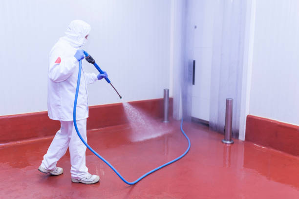 Best Roof Cleaning and Mildew Removal in Candler Mcafee, GA